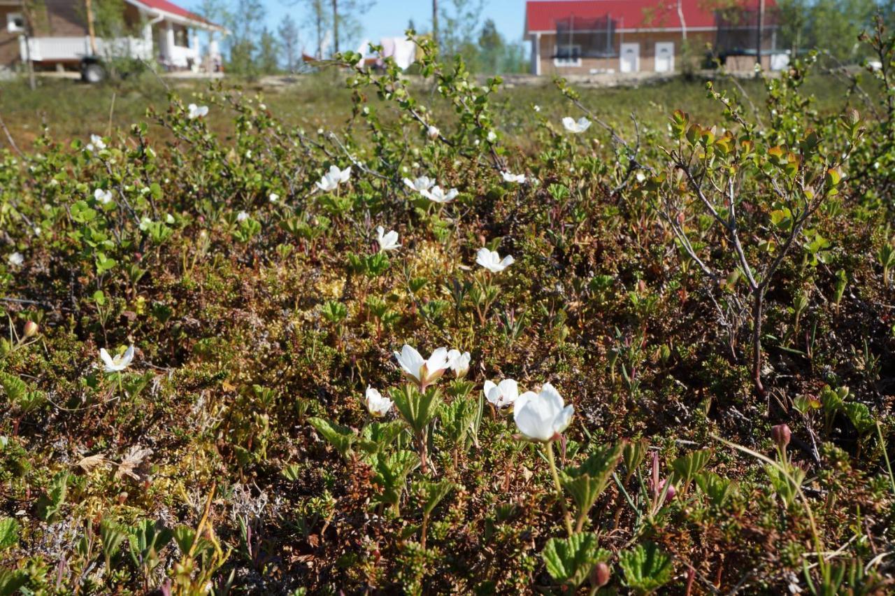 Appartamento Majoitus Valkea Nunnanen Esterno foto