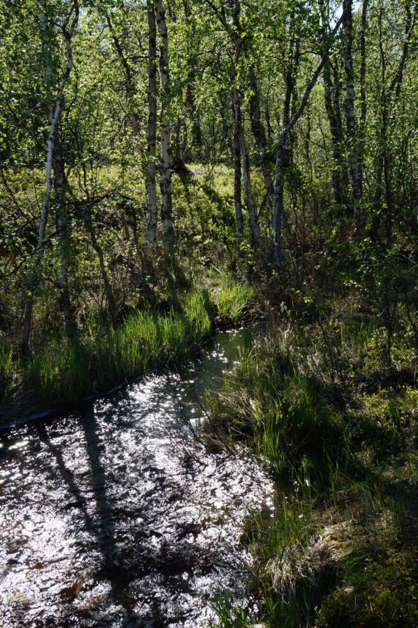 Appartamento Majoitus Valkea Nunnanen Esterno foto