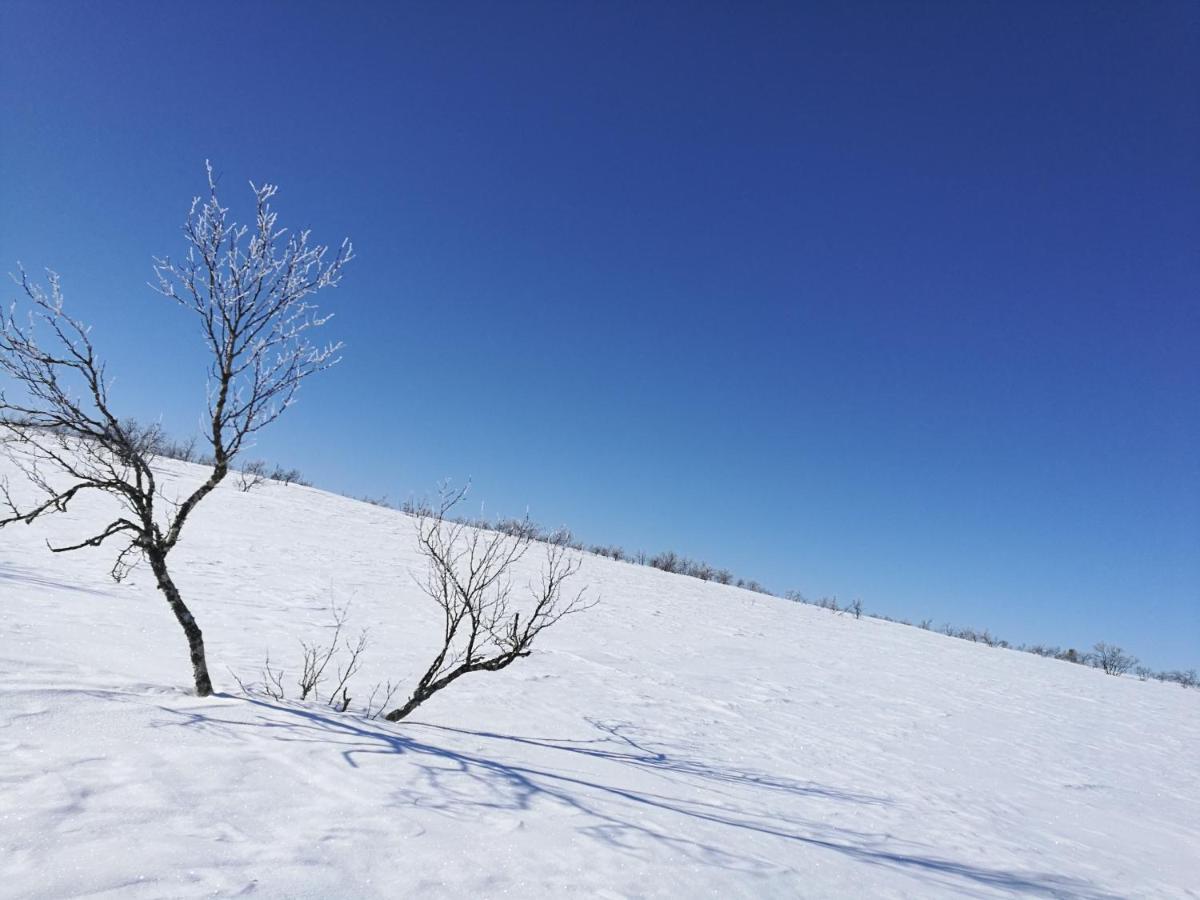 Appartamento Majoitus Valkea Nunnanen Esterno foto